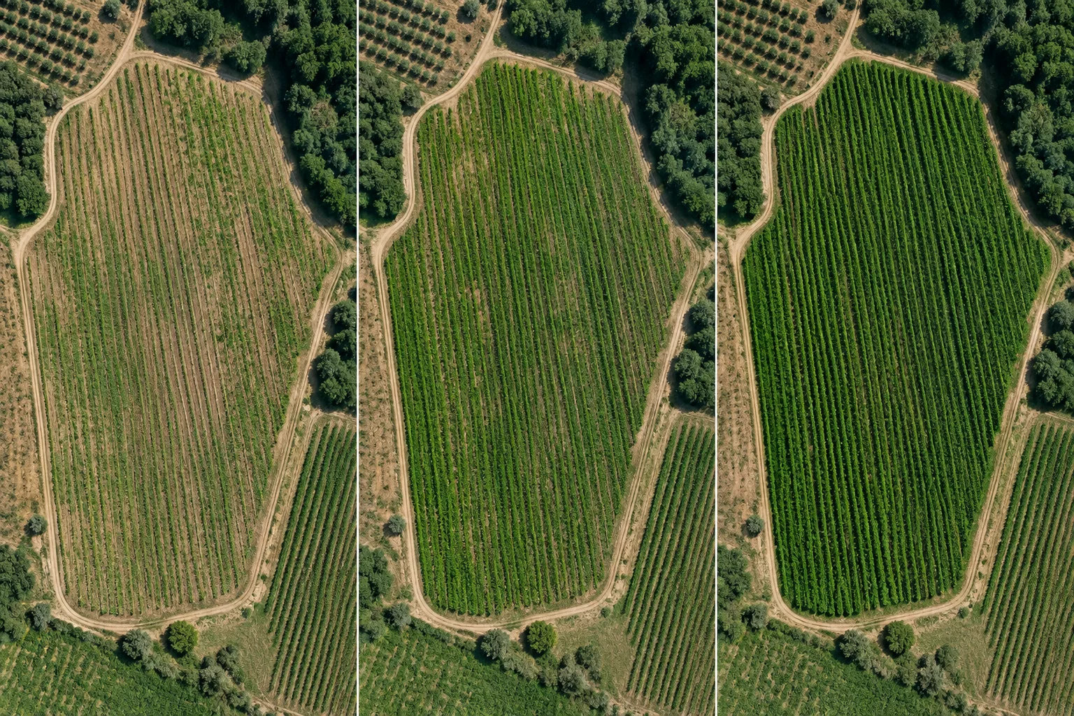 Comparação aérea da evolução da mesma parcela agrícola em diferentes momentos da campanha