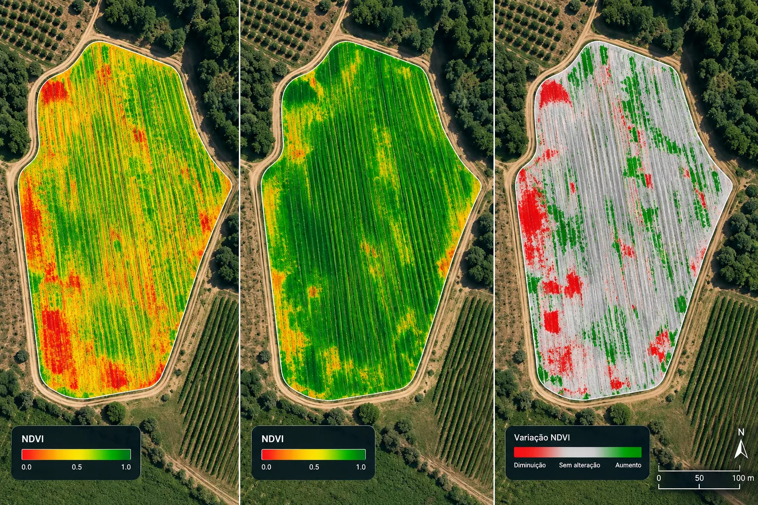 Comparação temporal de mapas NDVI da mesma parcela agrícola e mapa das alterações observadas entre levantamentos