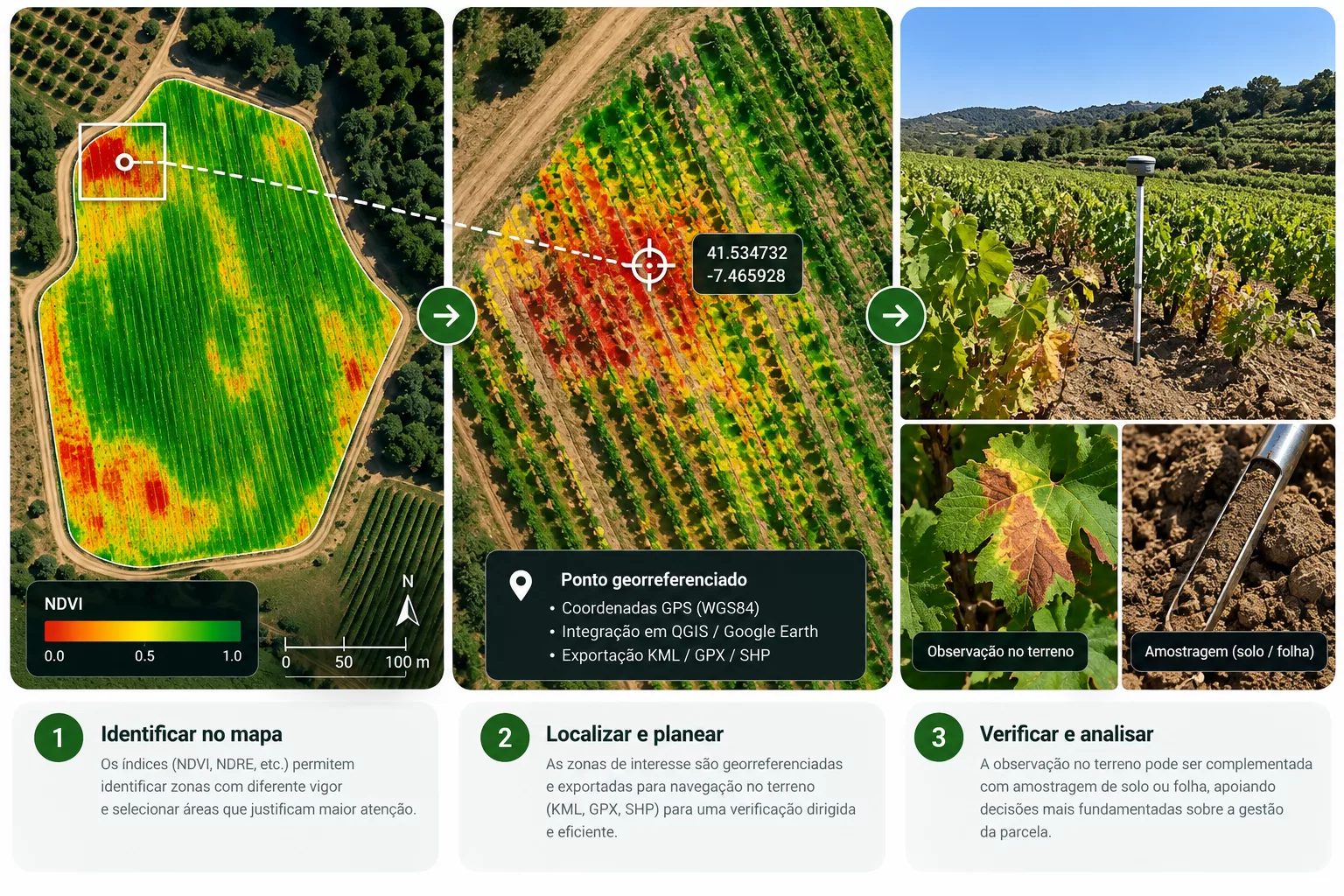 Fluxo da agricultura de precisão desde a identificação de uma zona no mapa até à verificação georreferenciada e amostragem no terreno