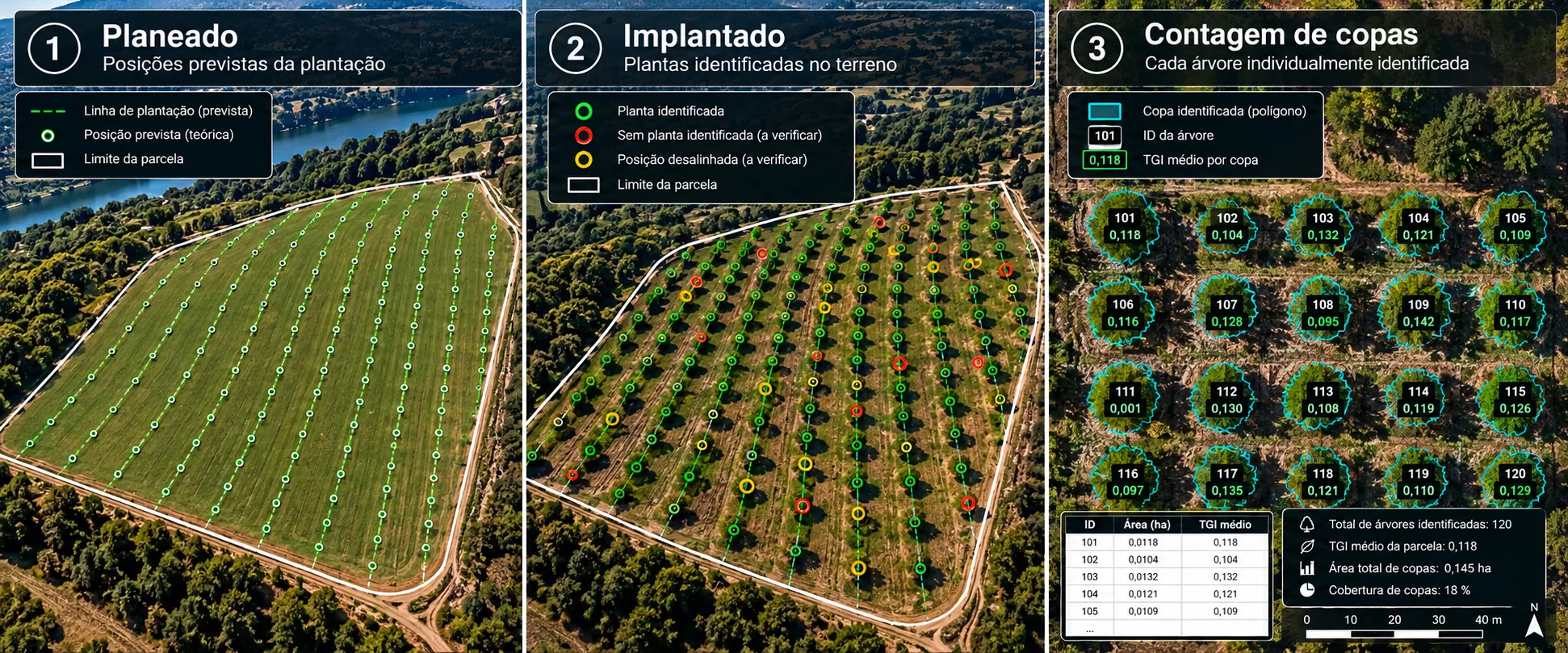 Comparação entre implantação planeada, plantas identificadas e contagem individual de copas com TGI
