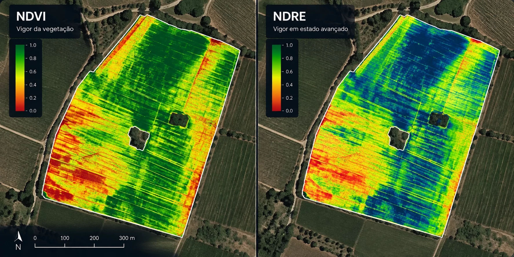Comparação de mapas NDVI e NDRE para análise de vigor e variabilidade agrícola