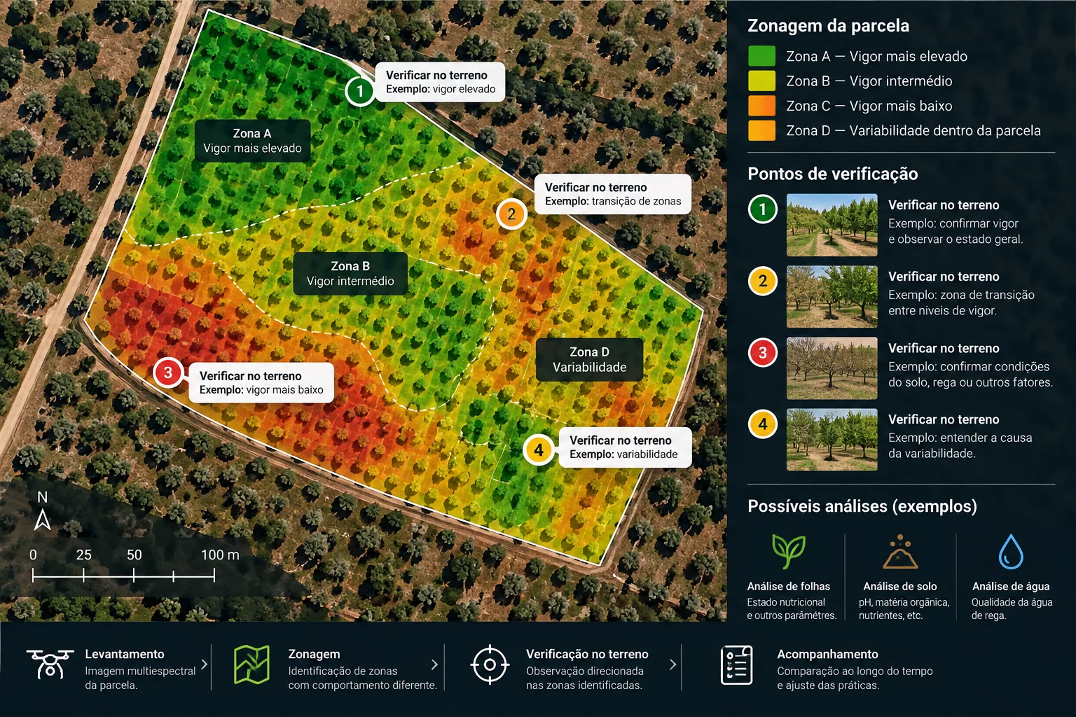 Zonagem de um amendoal com pontos selecionados para verificação no terreno e apoio à amostragem