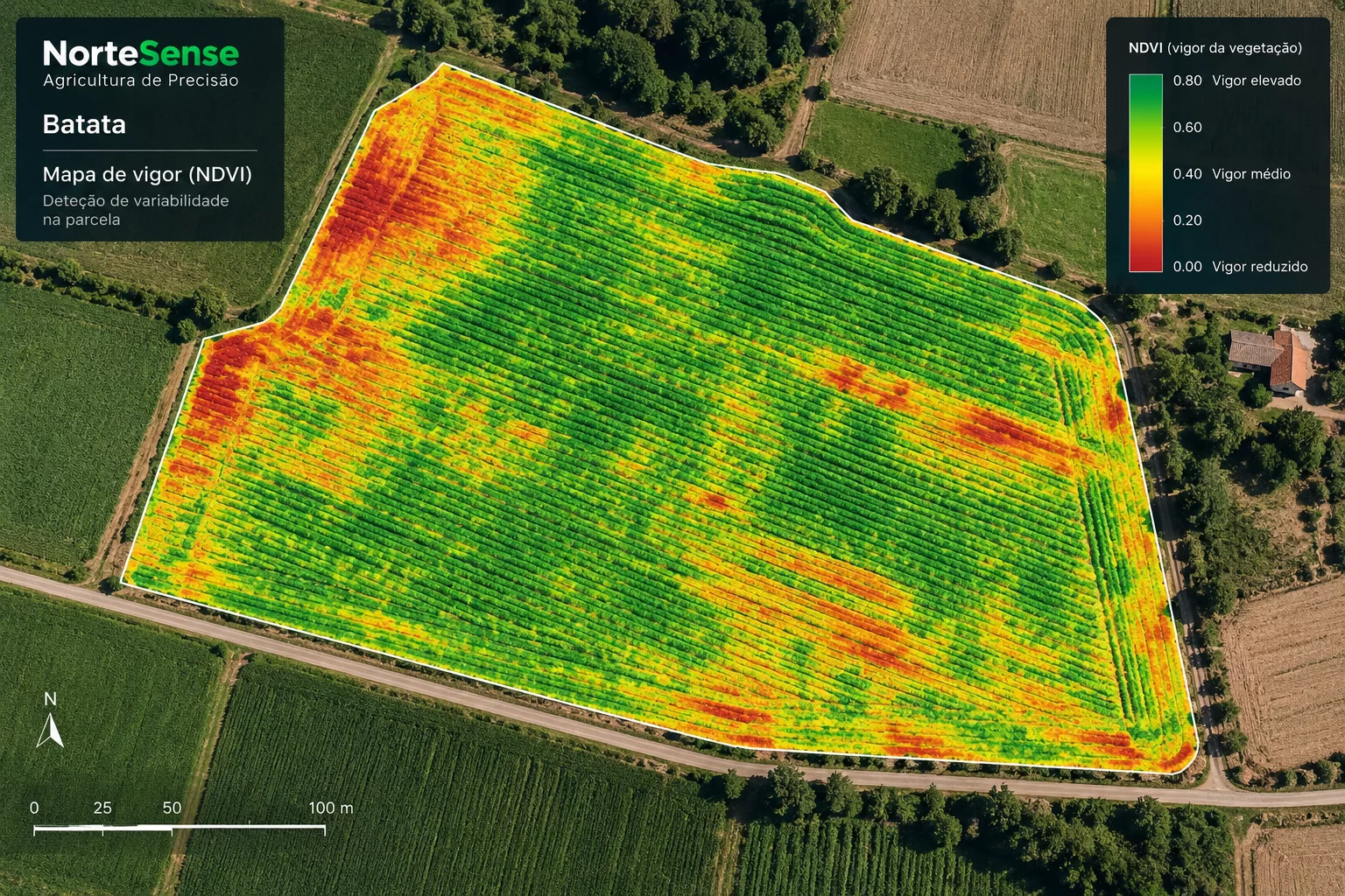 Mapa de vigor NDVI de uma parcela de batata para agricultura de precisão