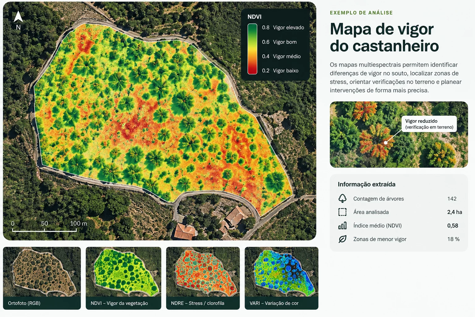 Exemplo ilustrativo de análise multiespectral de um souto