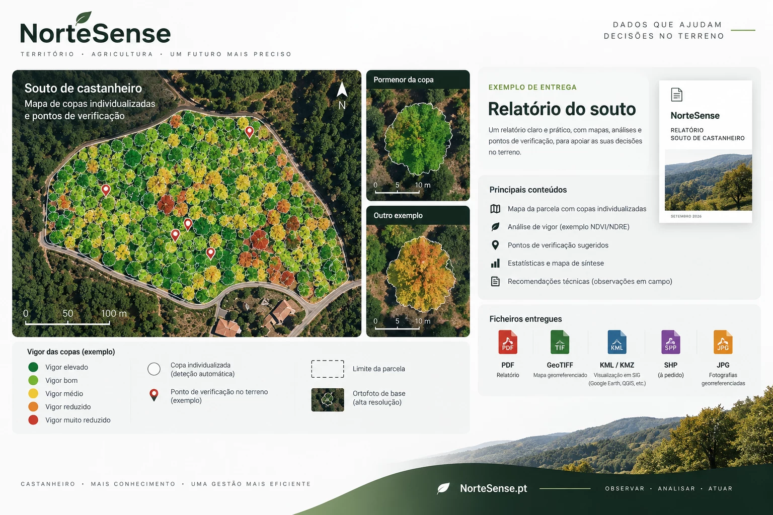 Exemplo ilustrativo de relatório e entregáveis NorteSense para um souto de castanheiros