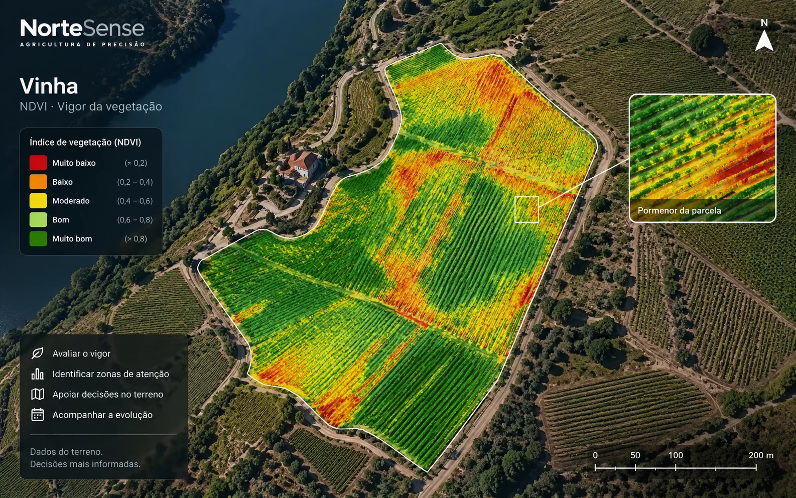 Mapa de vigor NDVI e zonagem de uma vinha
