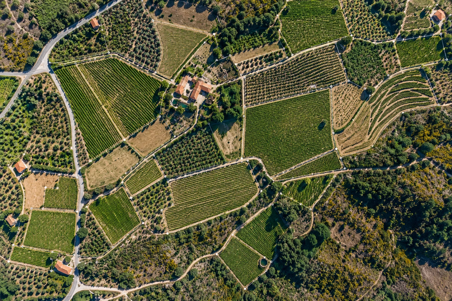 Ortofoto georreferenciada com parcelas e elementos cartográficos